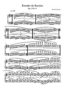 Estudio de Escalas, Op.1 No.11: Estudio de Escalas by Beautiful things Martínez