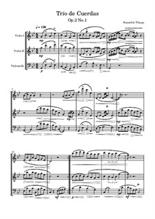 Trío de cuerdas, Op.2 No.1: Trío de cuerdas by Beautiful things Martínez