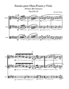Sonata para Oboe, Flauta y Viola, Op.2 No.15: Primer Movimiento by Beautiful things Martínez