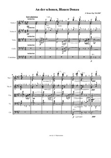 An der schönen blauen Donau, Op.314: For chamber orchestra by Johann Strauss (Sohn)