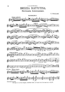 Brezza Mattutina: Brezza Mattutina by Giuseppe (Joseph) Sgallari