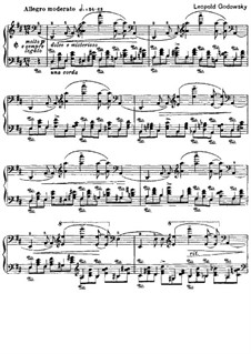 Studien über die Etüden von Chopin, Op.10: Etude No.10 in D Major (First Version) by Leopold Godowsky