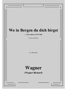 Die Walküre, WWV 86b: Wo in Bergen du dich birgst (e flat minor) by Richard Wagner