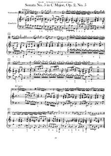 Sechs Sonaten für Cello (oder Bratsche) und Basso Continuo, Op.1: Sonata No.5 in C Major by Benedetto Marcello