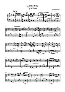 Chamamé, Op.4 No.48: Chamamé by Beautiful things Martínez