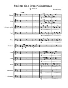Sinfonía No.5, Op.5 No.2: Primer movimiento by Beautiful things Martínez
