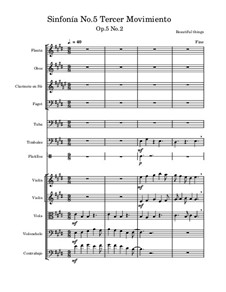 Sinfonía No.5, Op.5 No.2: Tercer movimiento by Beautiful things Martínez