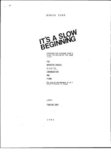 It's a Slow Beginning: It's a Slow Beginning by Bonia Shur