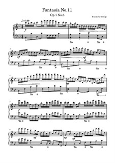 Fantasía No.11, Op.7 No.5: Fantasía No.11 by Beautiful things Martínez