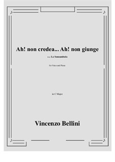 Ah! Non credea: Für Stimme und Klavier by Vincenzo Bellini