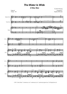 The Water is Wide: Duet for Soprano and Tenor Saxophone by folklore
