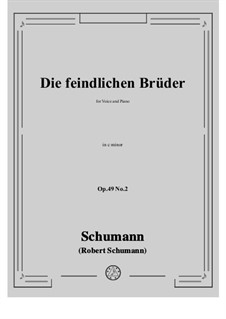 Nr.2 Die feindlichen Brüder: C minor by Robert Schumann