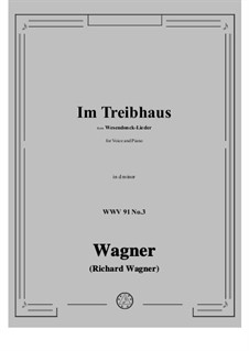 Wesendonck Lieder, WWV 91: No.3 In the Greenhouse in d minor by Richard Wagner