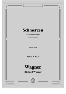 Wesendonck Lieder, WWV 91: No.4 Sorrows in E flat Major by Richard Wagner