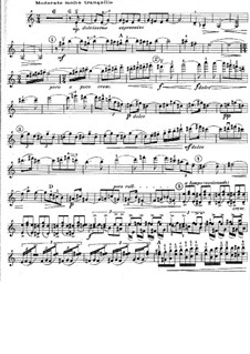 Violin Concerto No.1: Violinstimme by Karol Szymanowski