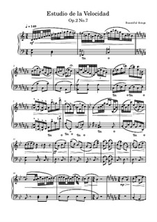 Estudio de la velocidad, Op.2 No.7: Estudio de la velocidad by Beautiful things Martínez