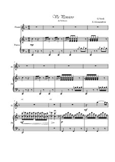 Va' Pensiero (Chorus of the Hebrew Slaves): Für Flöte und Piano by Giuseppe Verdi