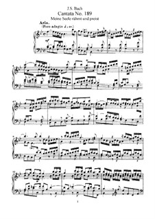 Meine Seele rühmt und preist, BWV 189: Piano-vocal score by Johann Sebastian Bach
