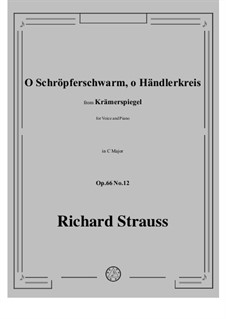 No.12 O Schröpferschwarm, o Händlerkreis: No.12 O Schröpferschwarm, o Händlerkreis by Richard Strauss