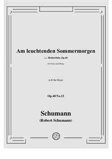 Nr.12 Am leuchtenden Sommermorgen: Für Stimme und Klavier by Robert Schumann