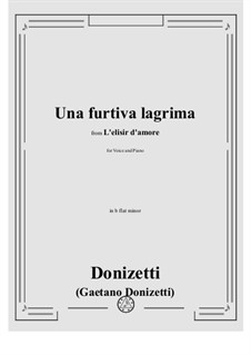 Der Liebestrank: Act II, Romance Nemorino 'Una furtiva lagrima' by Gaetano Donizetti