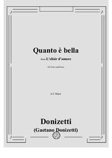Der Liebestrank: Quanto è bella, quanto è cara! by Gaetano Donizetti