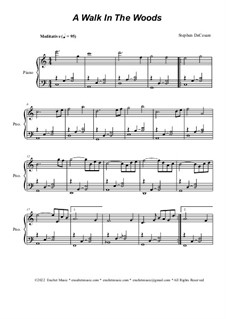 A Walk In The Woods (Piano solo): A Walk In The Woods (Piano solo) by Stephen DeCesare
