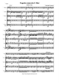 Bassoon Concerto in C major, GWV 301: Bassoon Concerto in C major by Christoph Graupner