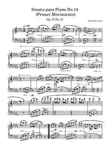 Sonata para Piano No.14, Op.13 No.13: Primer Movimiento by Beautiful things Martínez