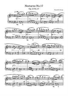 Nocturno No.17, Op.13 No.17: Nocturno No.17 by Beautiful things Martínez