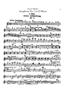 Sinfonie No.3 in d-Moll: Flötenstimmen by Gustav Mahler