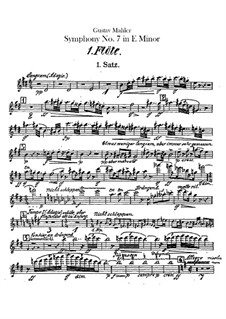 Sinfonie Nr.7 in e-Moll: Flötenstimme I-II by Gustav Mahler