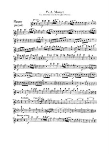 Ouvertüre: Piccoloflötenstimme by Wolfgang Amadeus Mozart
