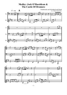Jock O'Hazeldean & The Castle Of Dromore: Für Flöte, Fagot und Bassklarinett by folklore