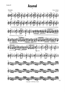 Acumal, Op.60: Stimmen by Bruno Vlahek