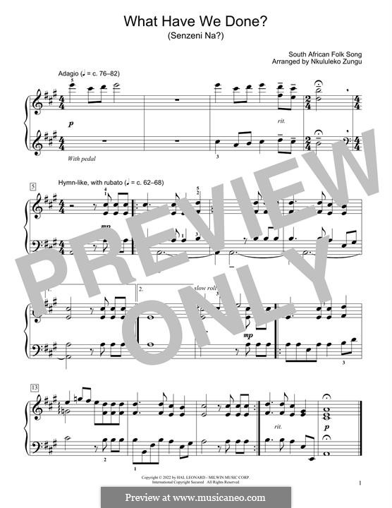 What Have We Done? (Senzeni Na?): What Have We Done? (Senzeni Na?) (arr. Nkululeko Zungu) by folklore