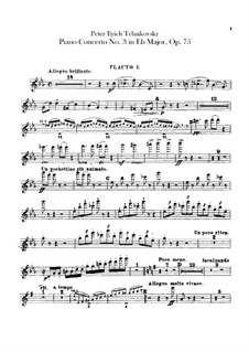 Konzert für Klavier und Orchester Nr.3 in Es-Dur, TH 65 Op.75: Flötenstimmen by Pjotr Tschaikowski