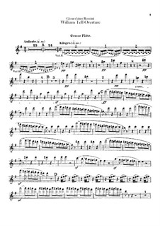 Ouvertüre: Flötenstimmen by Gioacchino Rossini