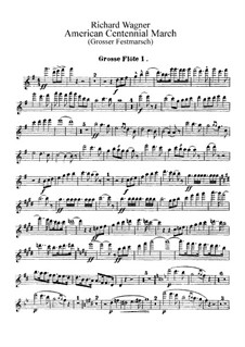 Grosser Festmarsch, WWV 110: Flötenstimme by Richard Wagner