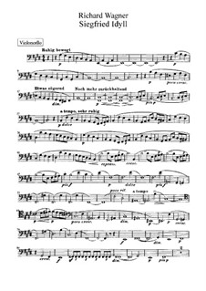 Siegfried-Idyll, WWV 103: Cellostimmen by Richard Wagner