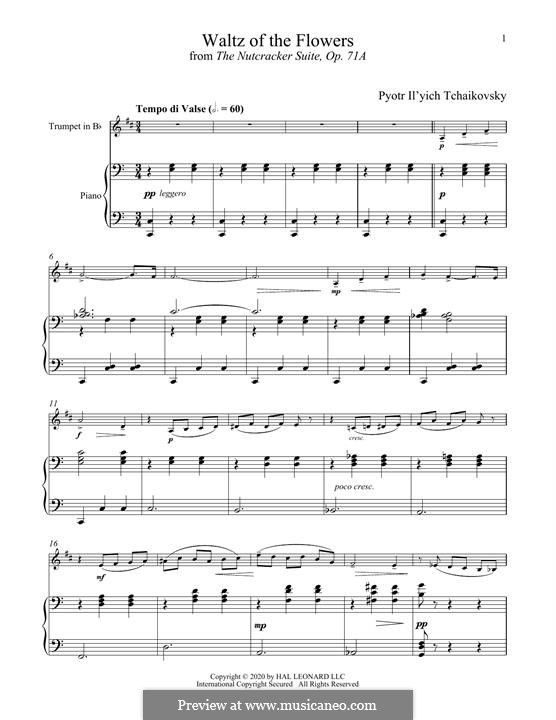 Nr.8 Blumenwalzer: For trumpet and piano by Pjotr Tschaikowski