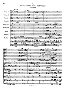 Ruhe, Friede, Freud und Wonne: Ruhe, Friede, Freud und Wonne by Friedrich Wilhelm Zachow