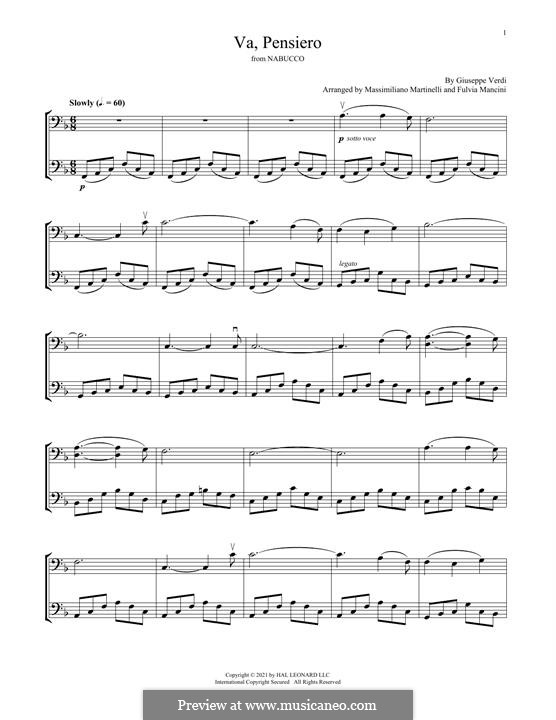 Va' Pensiero (Chorus of the Hebrew Slaves): For two cellos (Mr & Mrs Cello) by Giuseppe Verdi