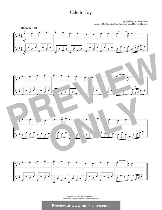 Ode an die Freude: Version for two cellos (Mr & Mrs Cello) by Ludwig van Beethoven