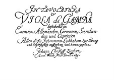 Tabulatur für Viola da Gamba: Tabulatur für Viola da Gamba by Johann Christoph Ziegler