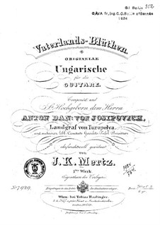 Vaterland-Blüthen, Op.1: Für einen Interpreten by Johann Kaspar Mertz