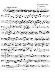 Fragmente: Solo aus Kontrabassstimme by Pjotr Tschaikowski
