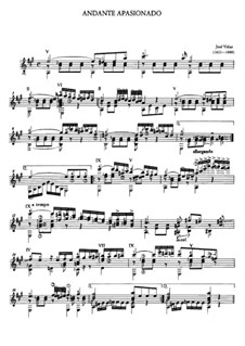 Andante Apasionado: Für Gitarre by José Viñas