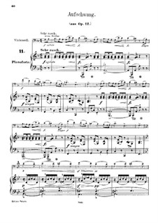 Fantasiestücke, Op.12: Nr.2 Aufschwung, für Cello und Klavier by Robert Schumann