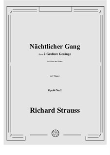 No.2 Nächtlicher Gang: F-Dur by Richard Strauss